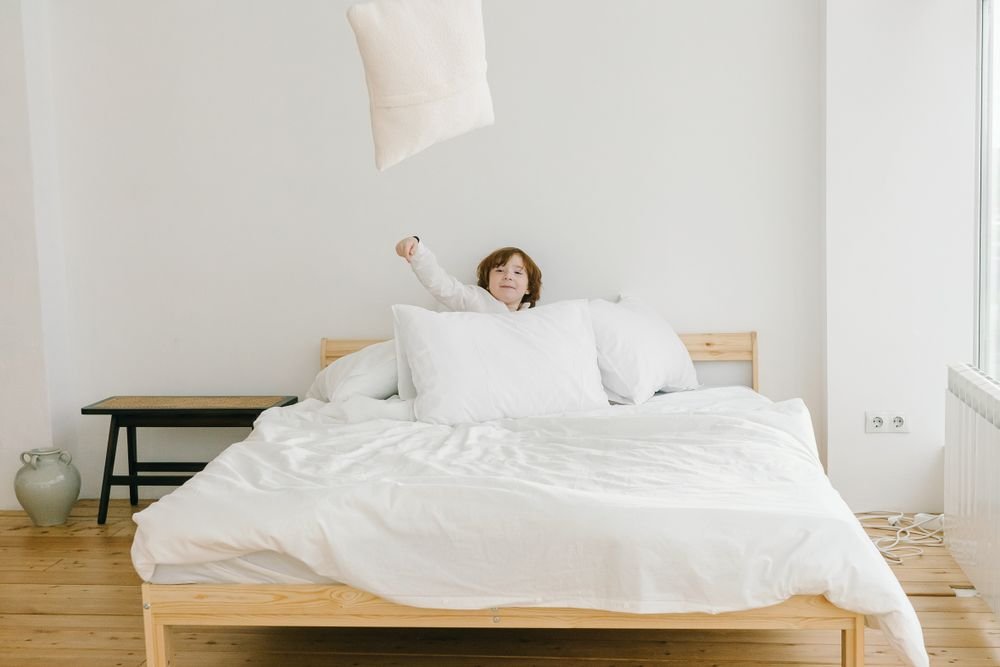 My Pillow Company