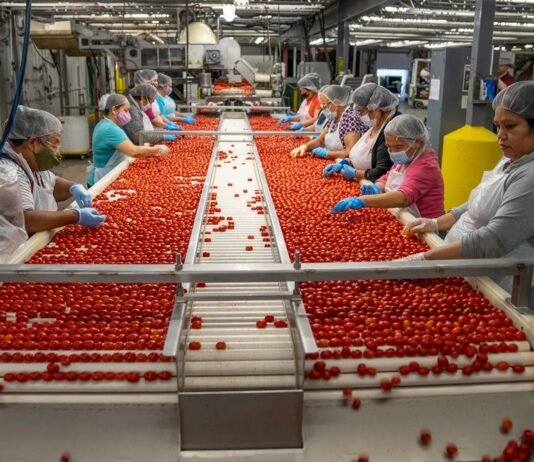 Is Del Monte Going Out of Business? The Real Answer